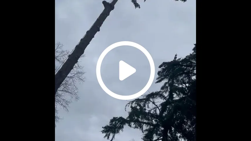 video1
