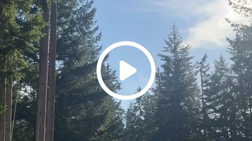 video2